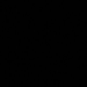 Meet your Posher, Djenaba